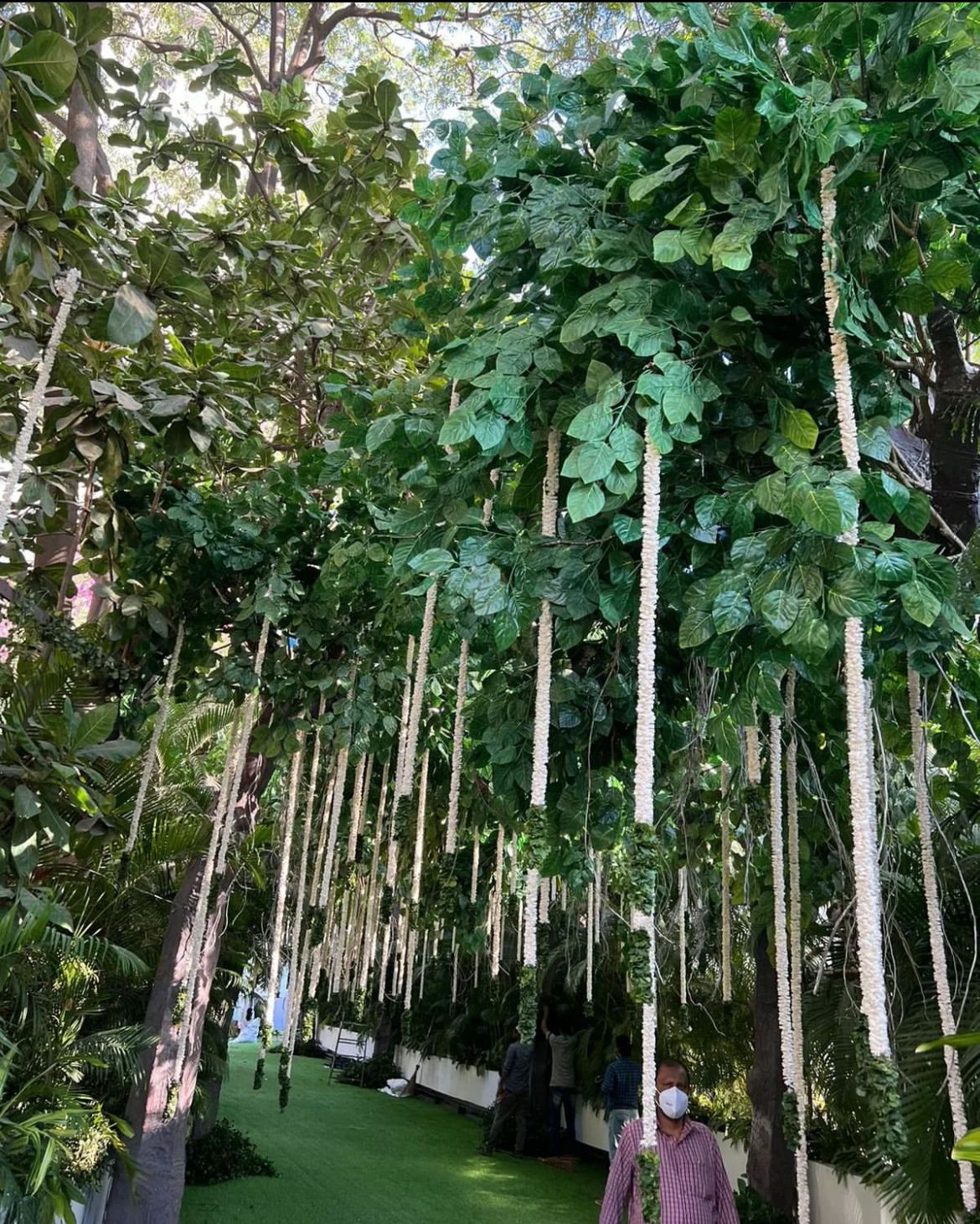 anmol ambani reception